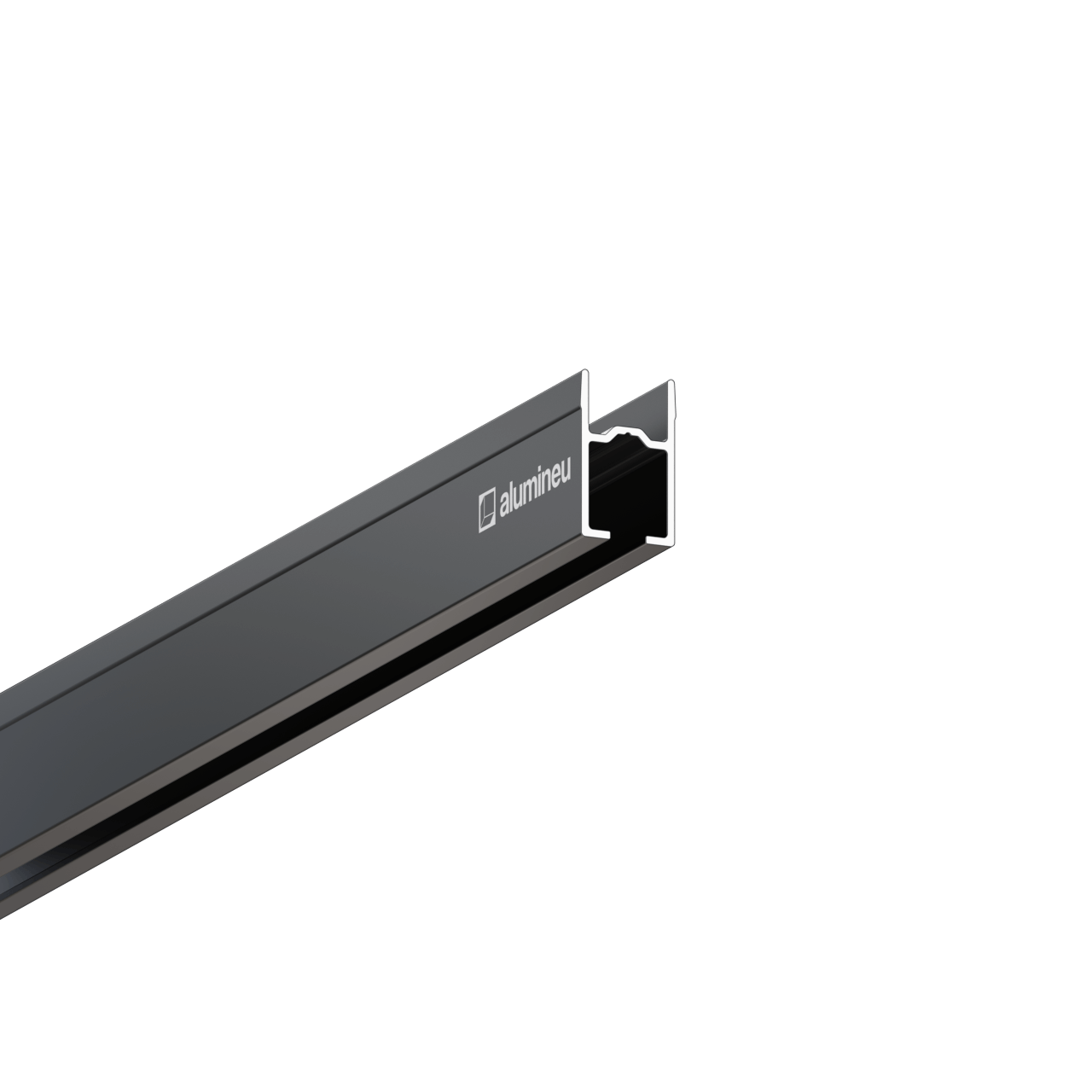 Profile CURTINA X407